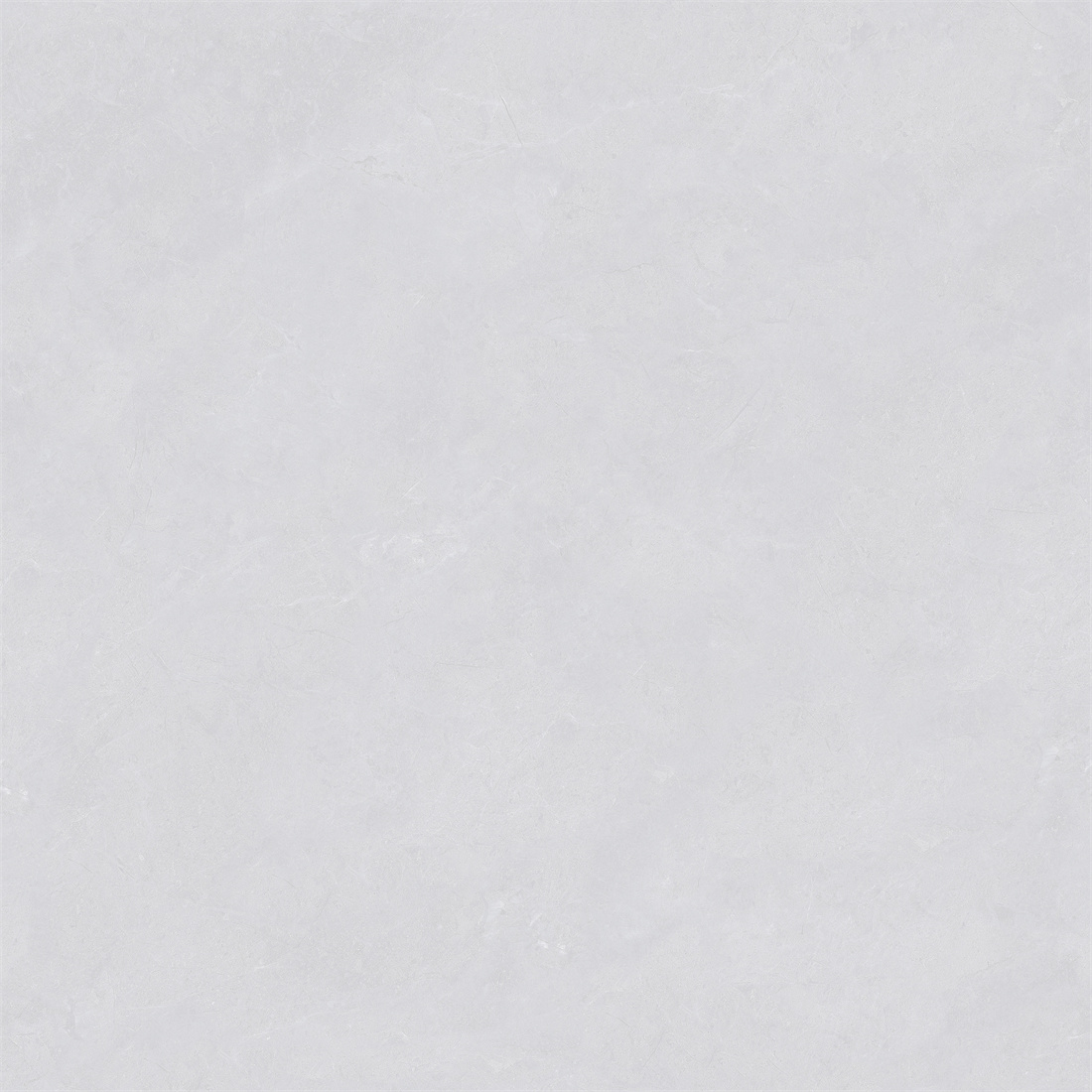 RL88213 