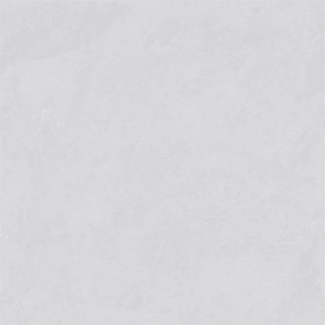 RL88213 