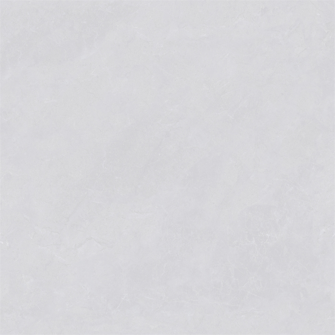 RL88213 