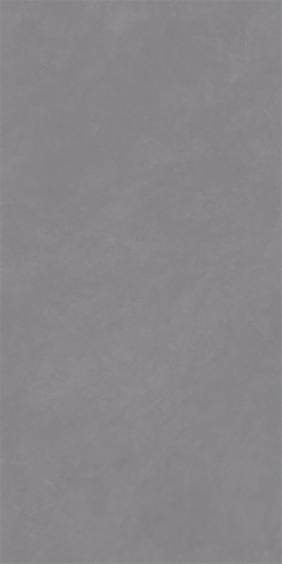 RCF12131 