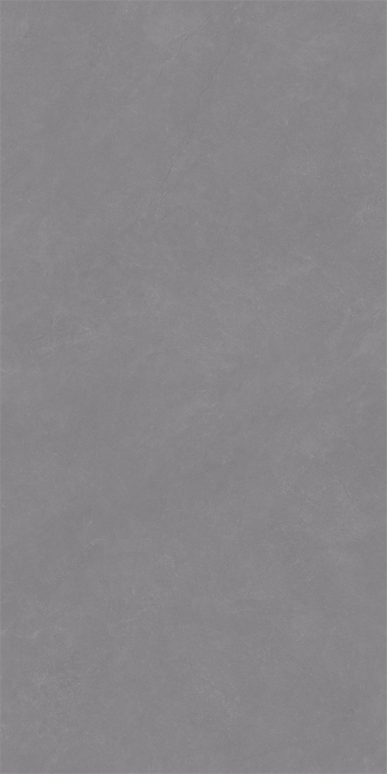 RCF12131 
