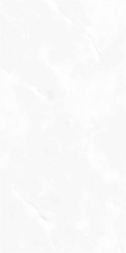 RCF12165-2