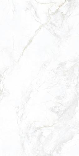 RD18130-2