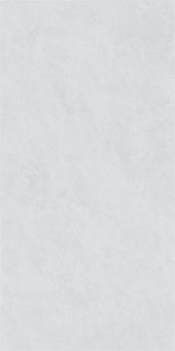 RG13103-2