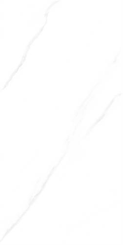 RG13101-3