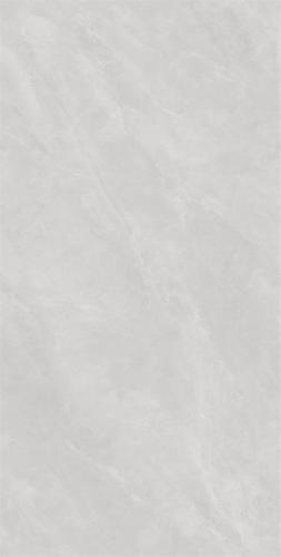 RG13106-2