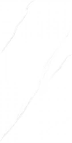 RSP12506-2