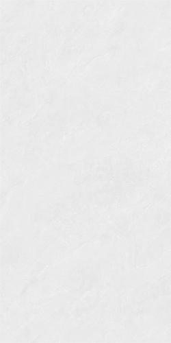 RL84123-2