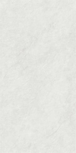 RSP12520 (4)