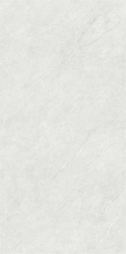 RSP12520 (3)