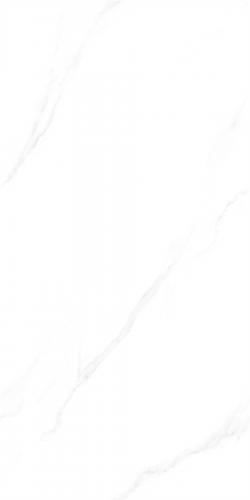 RSP125063